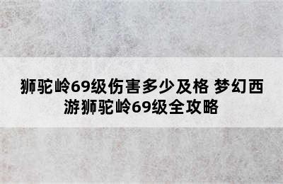 狮驼岭69级伤害多少及格 梦幻西游狮驼岭69级全攻略